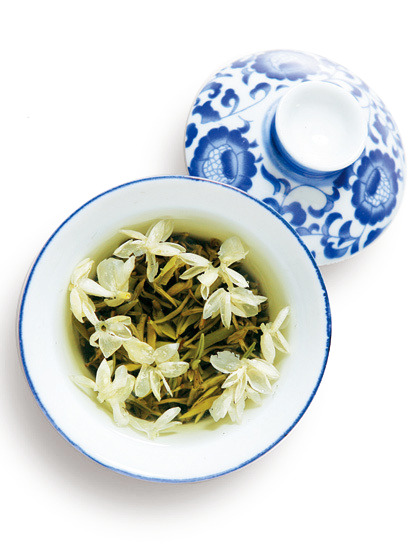 茉莉花茶品鉴，精选高清PNG透明图片，动植物元素融合，植物图片设计素材免费下载