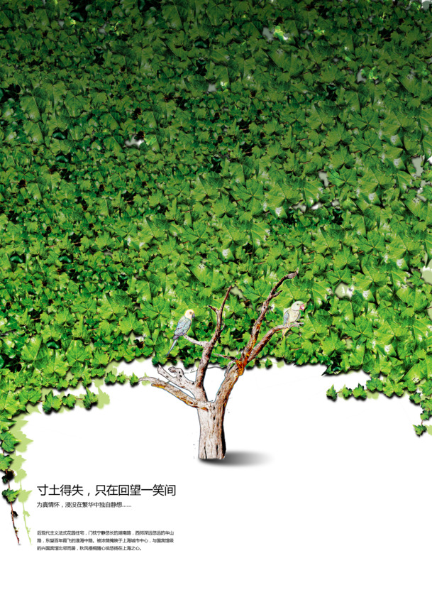 环保海报与书籍封面设计素材，高清PNG透明图片，植物元素丰富，房地产专用