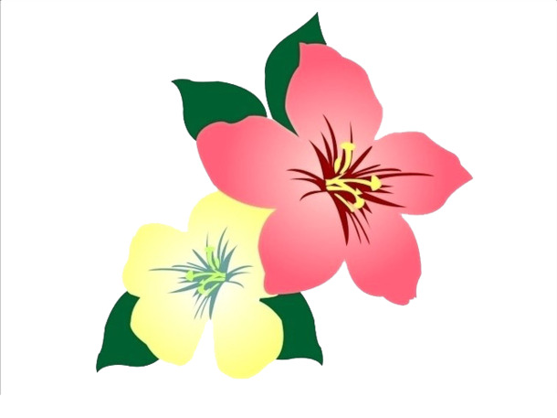 手绘彩色花朵PNG透明图片，高清花瓣漂浮元素，设计素材免费下载