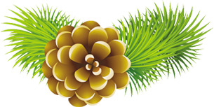 卡通松子点缀冬日，高清PNG透明素材，圣诞节节日元素设计下载