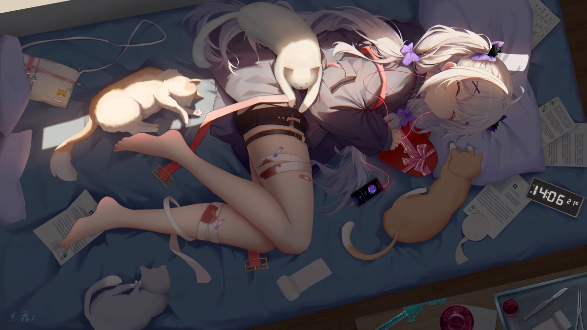 二次元少女甜梦猫伴，超萌4K动漫壁纸高清下载，3840x2160分辨率