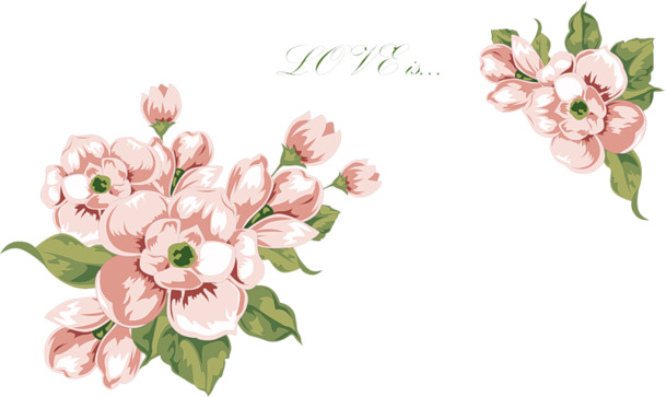 粉色花叶透明PNG，高清漂浮花瓣设计素材，免费下载