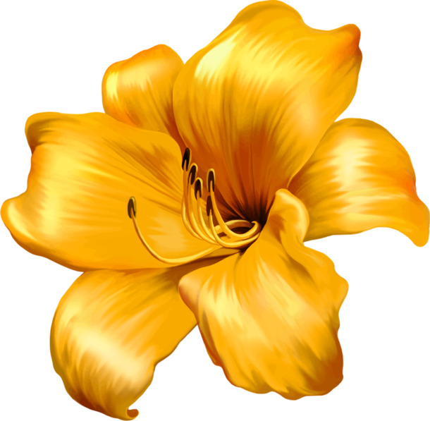 昙花一现高清PNG，透明漂浮花瓣设计素材，免费下载