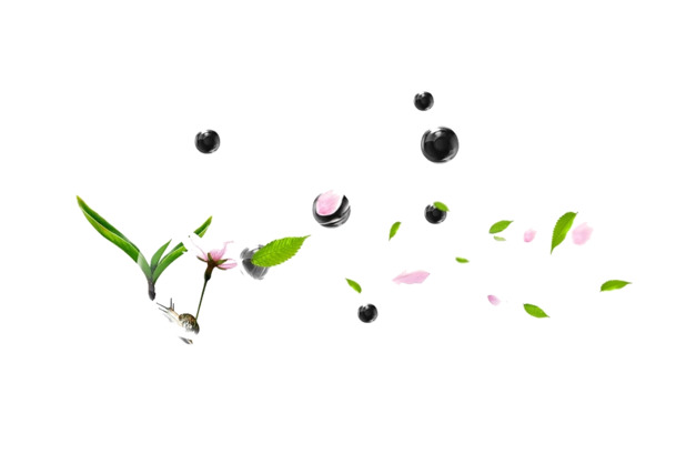 高清PNG透明图片，飘落的树叶与花朵，漂浮元素叶子设计素材下载