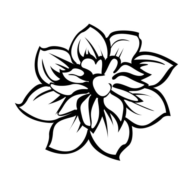 手绘花卉高清PNG，装饰花纹透明图片，设计素材免费下载
