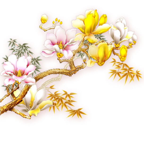 玉兰高清PNG透明图，精美植物装饰元素，设计素材免费下载