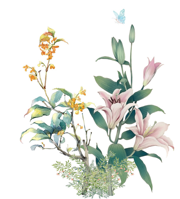 手绘花朵PNG素材，高清透明，卡通风格，创意装饰图片下载