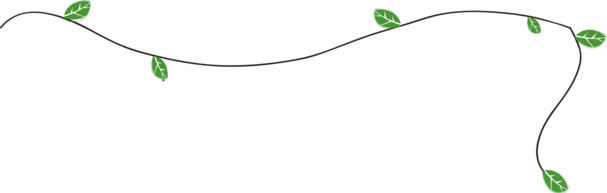藤蔓叶PNG透明图，动植物元素，高清植物设计素材下载