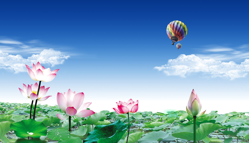 荷塘蓝天美景，热气球背景JPG图片/PSD风景设计素材下载