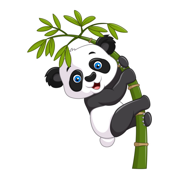 熊猫手绘卡通PNG透明图片，高清素材，创意元素，免费下载