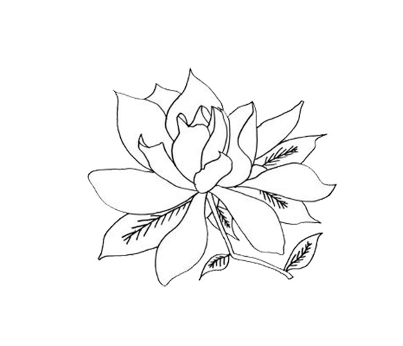 栀子花简笔画PNG透明图，高清植物装饰元素，设计素材下载