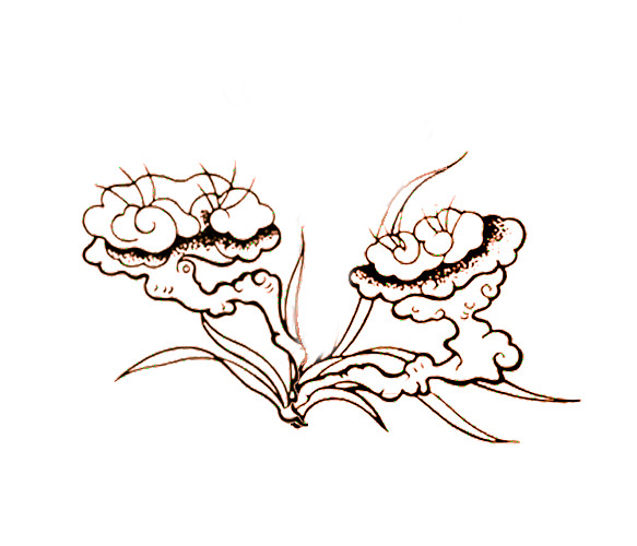 手绘灵芝PNG透明图片，高清装饰元素与花纹设计素材下载