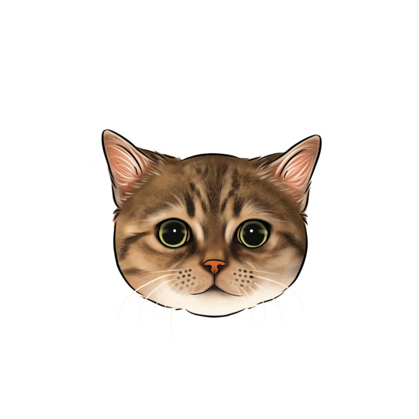 手绘猫咪头像PNG素材，高清透明，动植物元素丰富，设计必备！