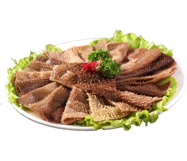 新鲜毛肚百叶PNG透明图片，高清装饰元素，设计素材下载