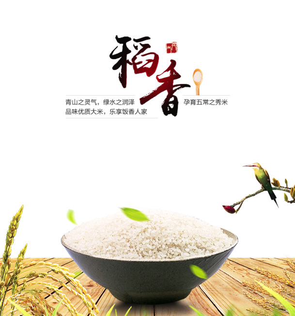 五常大米PNG透明图，精美植物装饰元素，设计素材免费下载