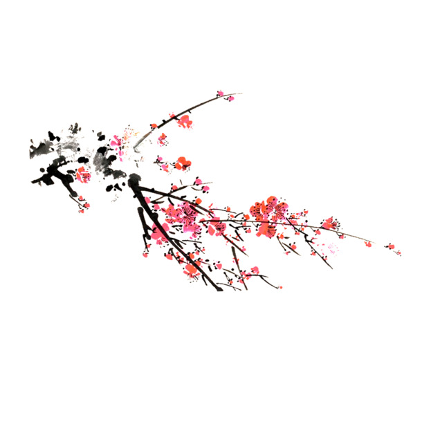 白色梅花手绘PNG透明图，高清中国风装饰元素，设计素材免费下载