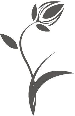 高清PNG透明图案花纹，精美装饰元素，设计素材随心下载