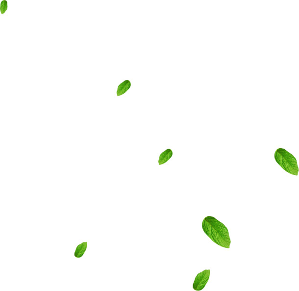 端午佳节，清新卡通树叶PNG透明图片，节日元素设计素材下载