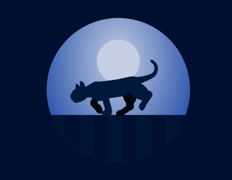 动画效果css3，夜间猫咪动态图片素材