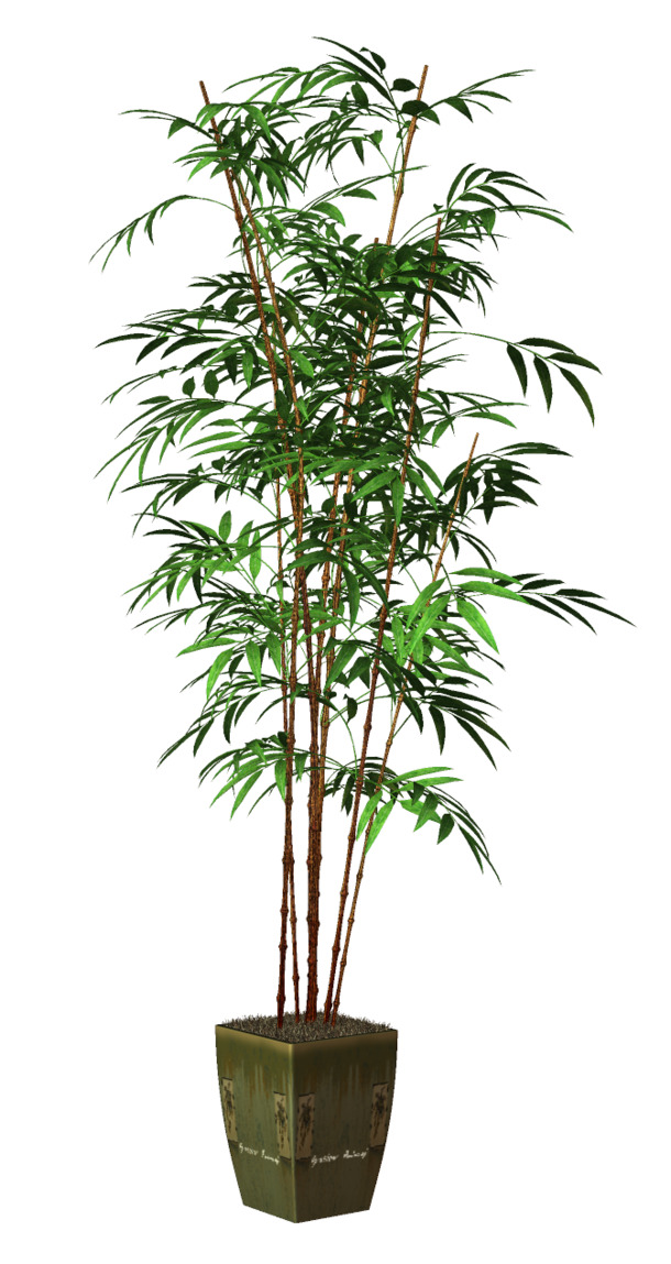 盆栽PNG透明图片，动植物元素设计素材高清下载