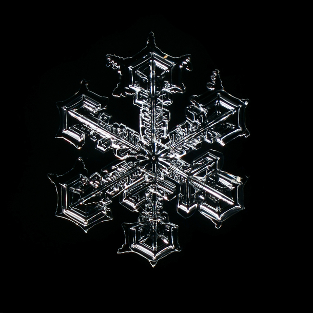 黑色冰晶雪花PNG透明背景，高清设计素材，免费下载