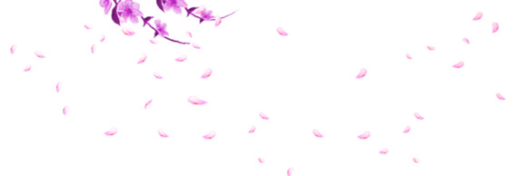 顶边漂浮花瓣高清PNG透明图片素材，优雅花瓣设计元素免费下载