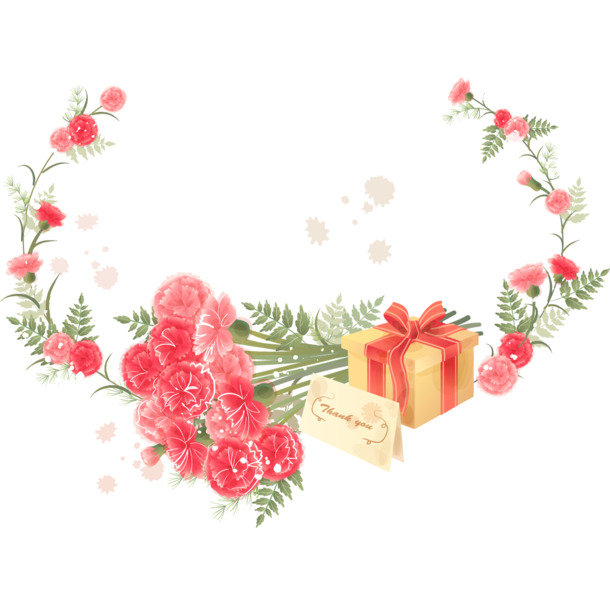 感恩节日素材大放送，康乃馨高清PNG透明图片，精美装饰元素边框设计下载