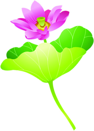 手绘莲花绿红配色PNG透明图，高清节日元素，国庆图片素材下载