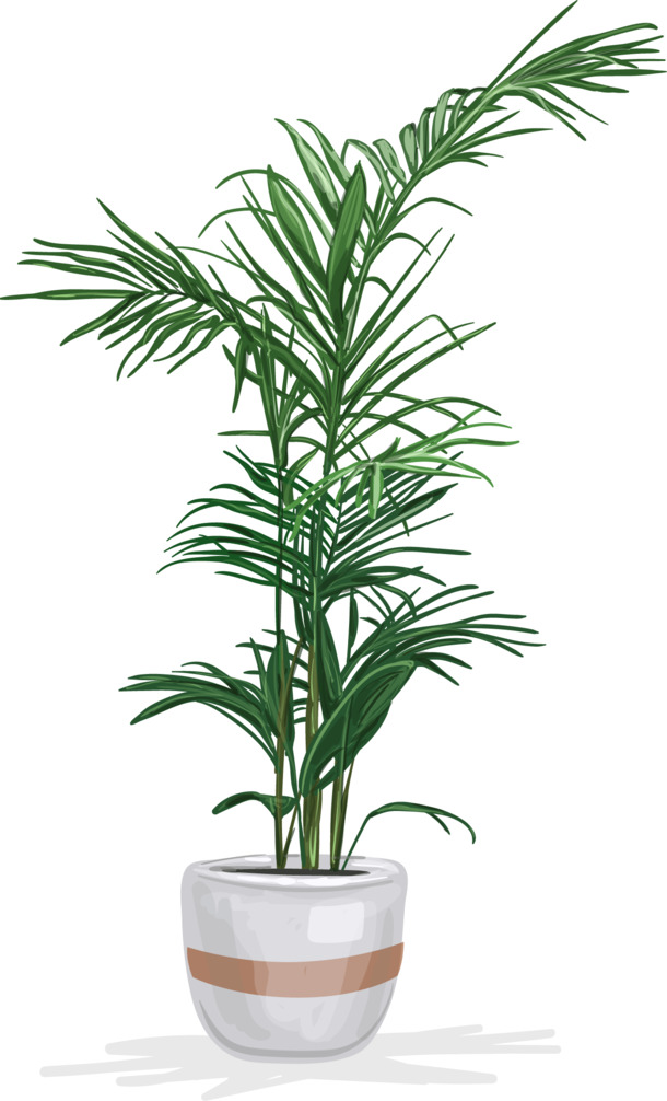 矢量手绘盆栽PNG透明图，动植物元素丰富，高清AI格式设计素材免费下载