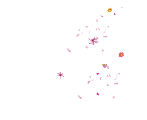 漂浮花PNG透明图片，高清几何元素，设计素材免费下载