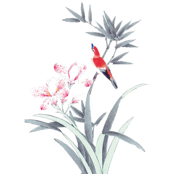 花鸟图PNG透明素材，高清装饰元素，植物图片设计资源下载
