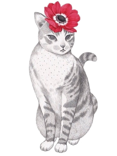 小猫咪戴红花高清PNG透明图，精美动物装饰元素，设计素材下载
