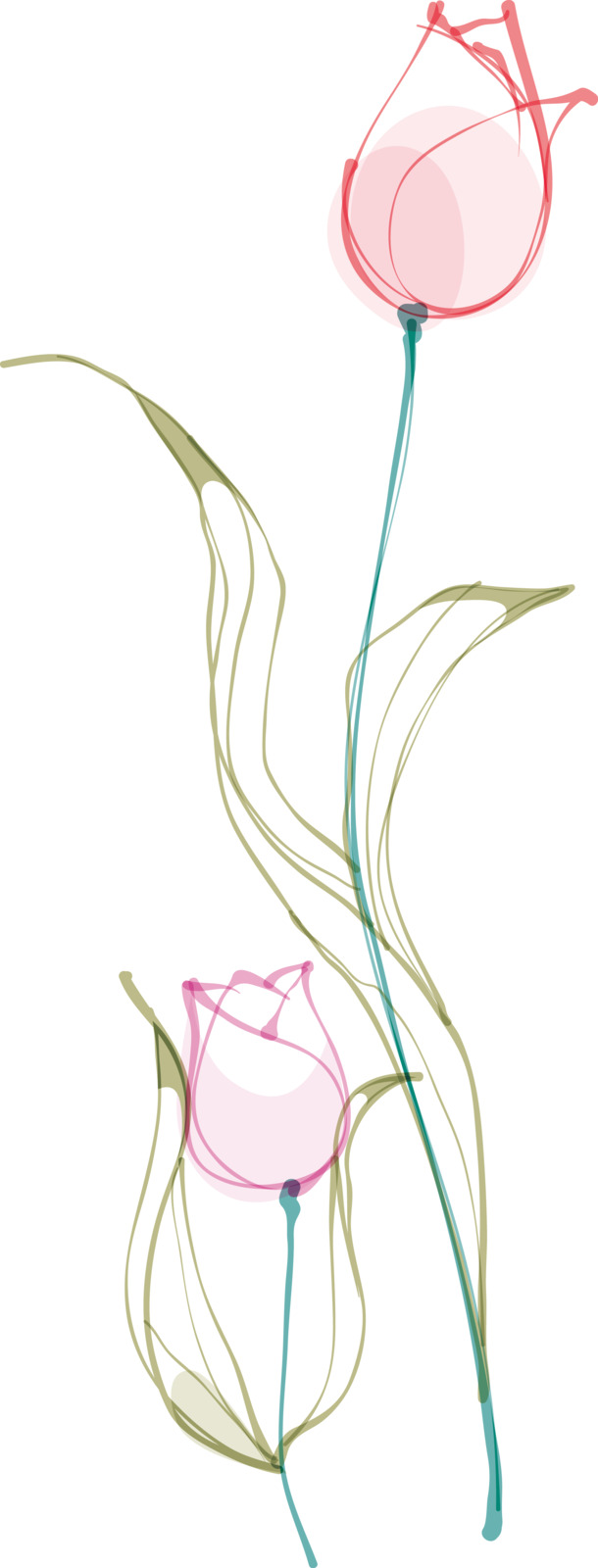 中国风手绘百合花PNG图片，高清透明素材，卡通元素设计下载