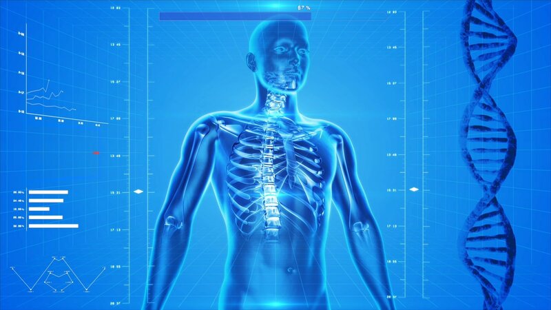 科技人体骨骼系统JPG高清大图，商务与科技设计素材免费下载