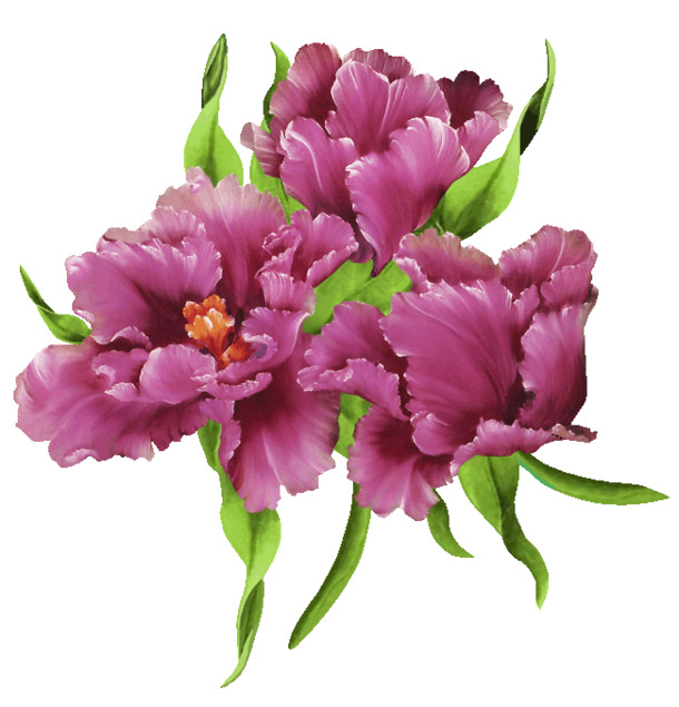 红色PNG花瓣素材，精美花韵漂浮元素，高清透明，设计必备下载