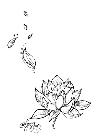 素描荷花PNG透明图，高清装饰花纹，设计素材下载