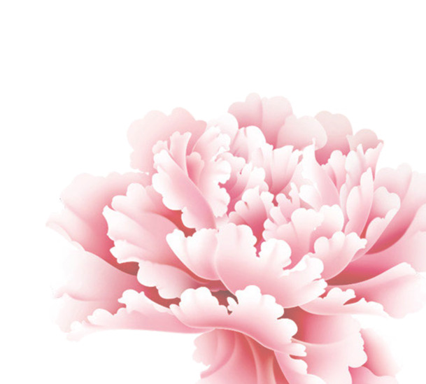 情人节节日元素PNG透明图片，高清花朵海报设计素材下载