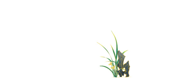 高清PNG花朵装饰素材，手绘树枝花朵，透明背景，节日设计必备下载