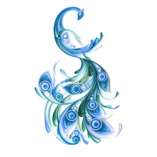 凤凰羽毛PNG透明免抠图标，高清设计素材，一键下载