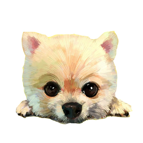 博美犬卖萌头像，高清PNG透明图片，动植物元素丰富，设计素材一键下载