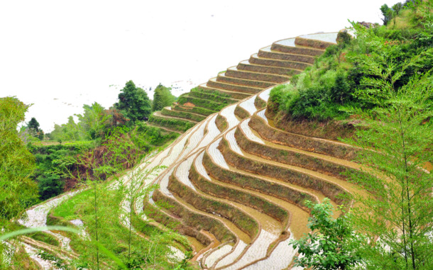 广西龙脊梯田美景，精选六张高清PNG透明背景摄影图片，设计素材免费下载