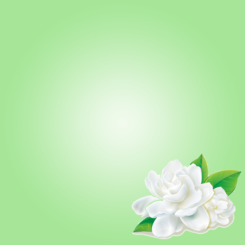 淡绿茉莉唯美背景，简约清新JPG/PSD设计素材免费下载
