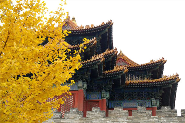 神秘屋檐角PNG透明图片，高清背景元素，摄影风景设计素材下载