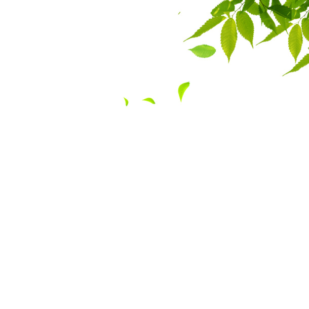 高清漂浮绿叶PNG透明图，创意叶子元素，设计素材免费下载