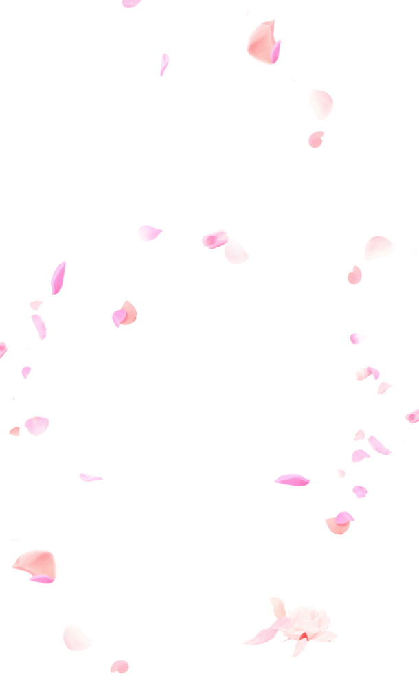 粉色花瓣PNG透明图片，高清漂浮元素设计素材，免费下载