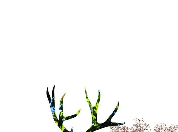 羚羊主题PNG透明图片，高清装修素材，创意动物装饰元素下载