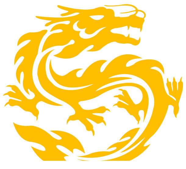 金龙PNG透明图，中国风装饰元素，高清素材免费下载