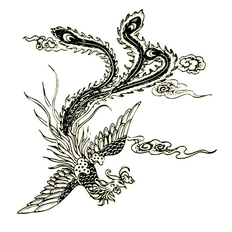 凤凰精选，透明PNG动物图片素材，高清装饰元素，免费下载