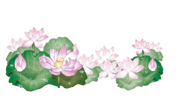 江南荷花PNG透明背景图案，高清素材，笔触装饰，设计下载