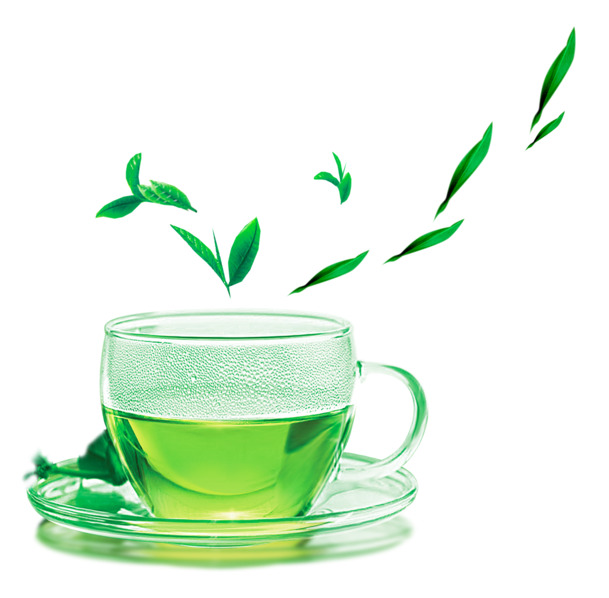 绿茶PNG透明图，生活装饰元素，高清设计素材下载